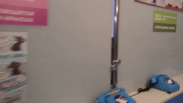 Экскурсия в Всемирный центр по управлению делами мышей в г. Мышкин. смотреть онлайн