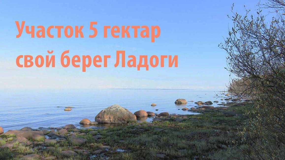 Береговое берег Ладоги