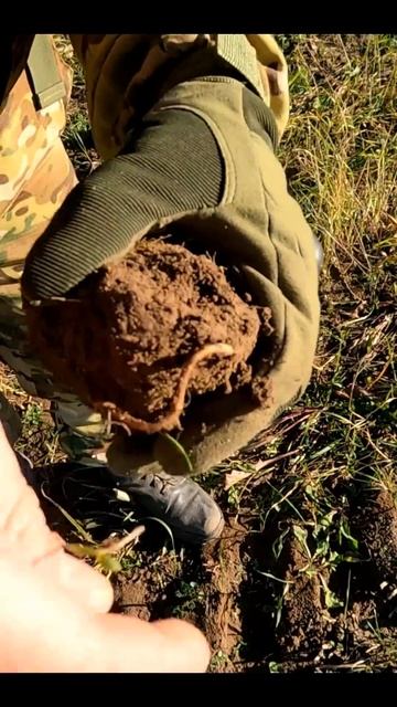 МОНЕТА ЦАРИЦА ПОЛЕЙ #металлоискатель #metaldetecting #поискм? смотреть онлайн