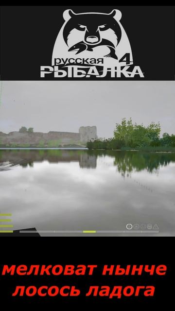 #shorts #🎮МЕЛКОВАТ НЫНЧЕ ЛОСОСЬ ЛАДОГА 🎮# Russian Fishing 4 #🎮 смотреть онлайн