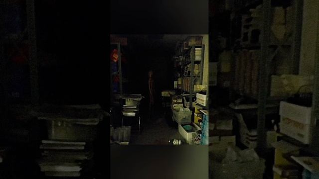 Horror, squeaker, fear, +100, 100500 (13.02.2023) / Ужасы, скрипер, страх, приколы, интересно, ржак смотреть онлайн