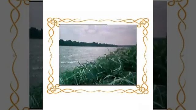 Конкурсная работа Мозоленко М.И.