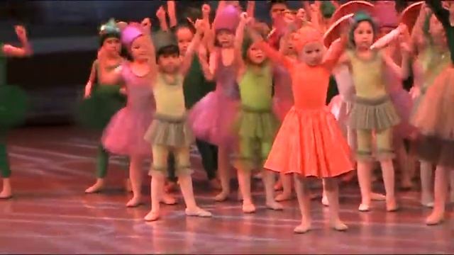 Мирослава. Отчетный концерт 2017. Протест народа огорода.