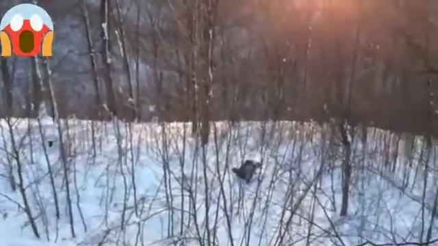 Смешной чеченский прикол смотреть онлайн