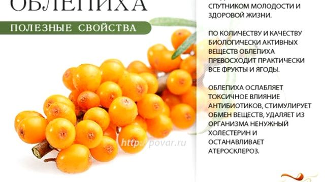 Созрела облепиха, собираем... смотреть онлайн