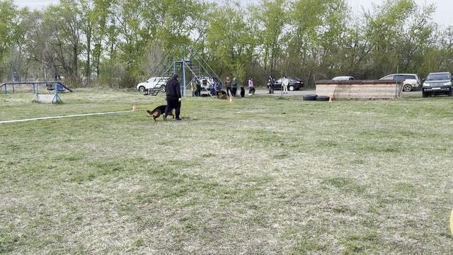 5.  выр/пож ВАСИЛИСА ИЗ БЕЛОГО ЯРА (Леннон из БЯ – Жанет из БЯ)