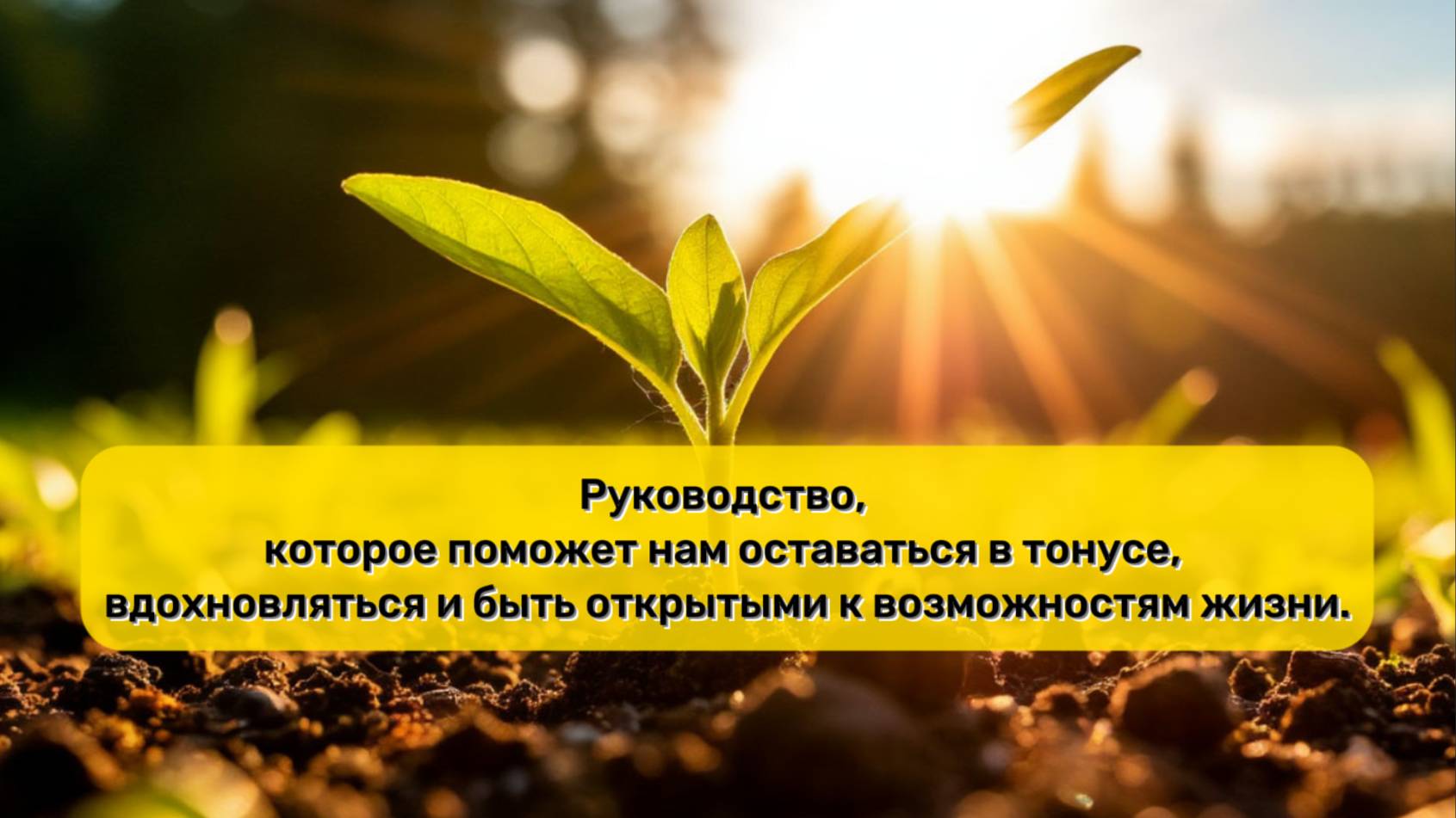 10 принципов надежды