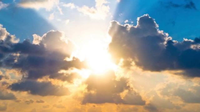 Свиня в иллюминаторе смотреть онлайн