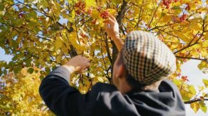 Для хулиганов!