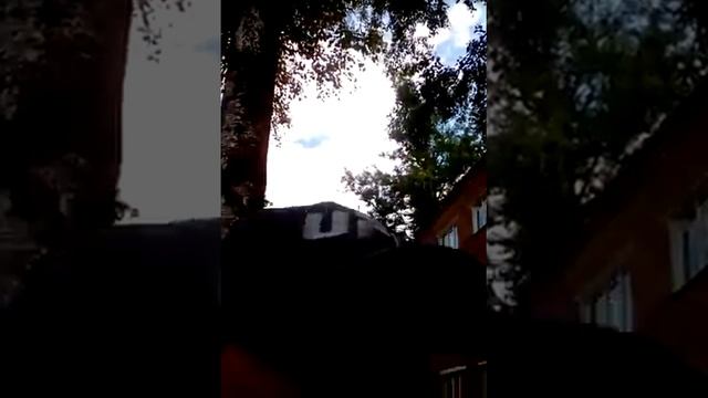 Мы нашли мутанта смотреть онлайн