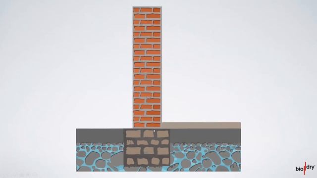 Biodry презентация