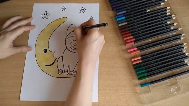 Сонный котик смотреть онлайн