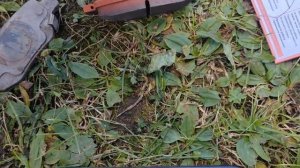 Замена тормозных колодок на Chery Tiggo 4 2019 года