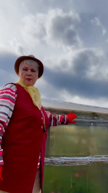 Клематисы в апреле #садтатьяны #теплица #клематисы #да? смотреть онлайн