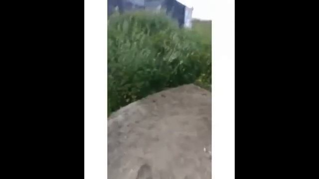 ПРИКОЛЫ , ПРИКОЛЫ ТИК ТОК, ЮМОР, СМЕХ, УГАР, УЛЫБНИСЬ ИЮЛЬ 2021 смотреть онлайн