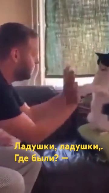 Ладушки, ладушки,. Где были? — У бабушки. Что ели? — каш? смотреть онлайн