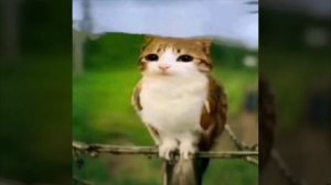 42 братуха кемеровская область