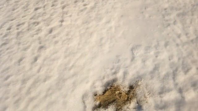 С 8 Марта дорогие женщины ! Когда будем выставлять пчёл . смотреть онлайн