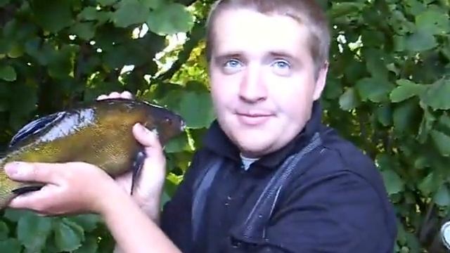 Прикол рыбной любви