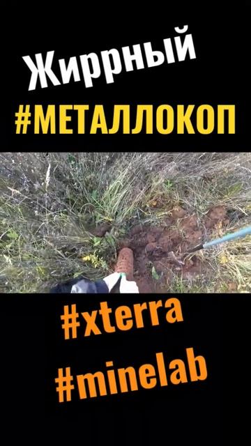 #жирный #металлокоп #запчасти #сельхозтехника #металло смотреть онлайн