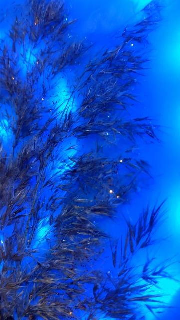 #светильник #ночник #ручная_работа #подарок #подароклю?