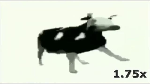 корова танцует под польскую музыку до 999x смотреть онлайн