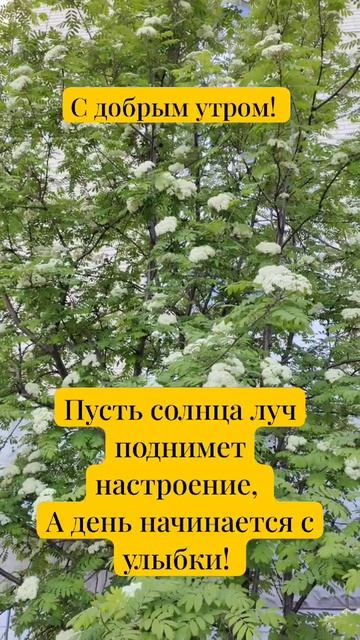 Доброго утра! Солнышко и тепла. смотреть онлайн