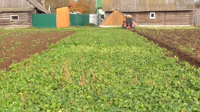 МТЗ 132н. Вспашка горчицы. Завершаю сезон 2024 смотреть онлайн