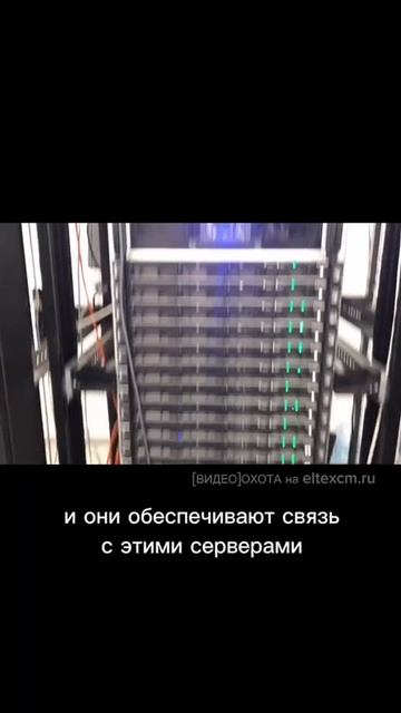 Коммутатор агрегации MES3348 Eltex. Видео[Охота] на eltexcm.ru