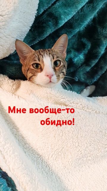 #Фото мем#и МИЛий🍬 смотреть онлайн