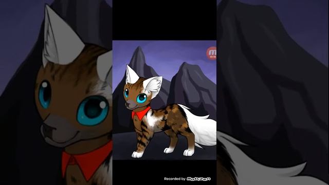 Заказывайте котиков,сегодня будет готово.опишите характер смотреть онлайн