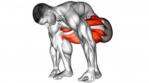 5 упражнений которые решают 99% проблем со здоровьем