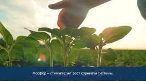 С Днём химика!