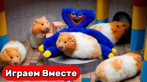 Лабиринт для Хомяка 🐹 Умный Хомяк выбирается из лабиринта с ХАГГИ ВАГГИ ! Видео для детей