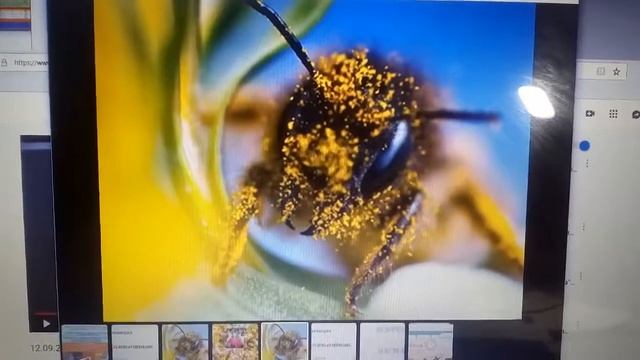 13.09.2019 г. #Возвратсредств Валентина Буянчикова г.Братск