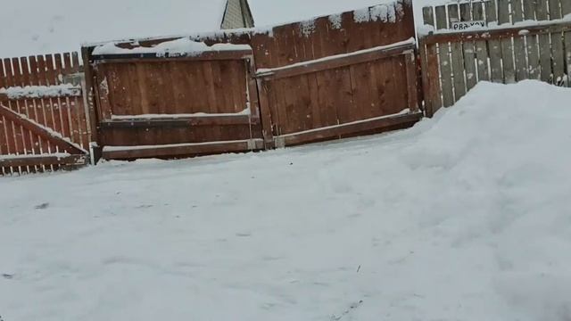 Метель, Мотивация на уборку снега, Гуляю с собакой смотреть онлайн