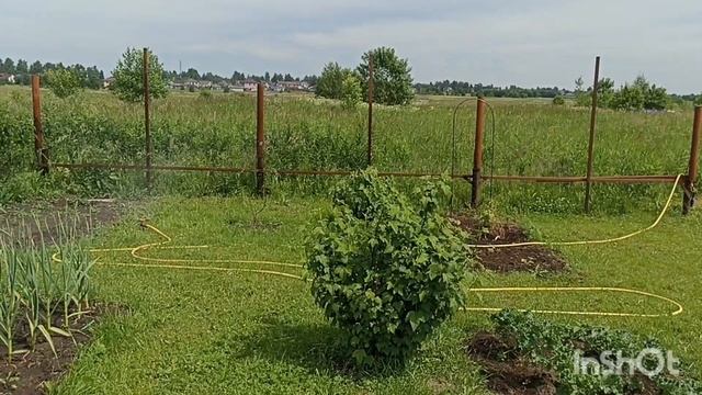 Большая клумба готова! Что посадить? смотреть онлайн