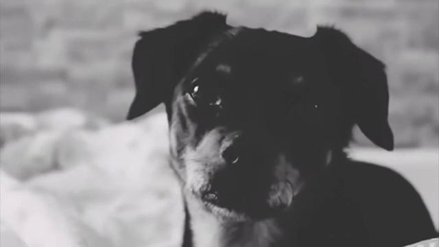 я Люблю Люси❤ смотреть онлайн