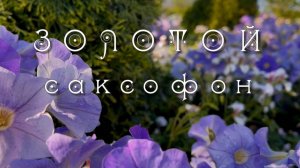 Золотой саксофон, музыка для души