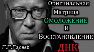 🔹 ОРИГИНАЛЬНАЯ МАТРИЦА ГАРЯЕВА — ОМОЛОЖЕНИЕ И ВОССТАНОВЛЕНИЕ ДНК 🔹