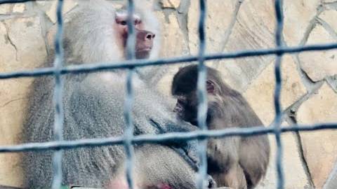 Наша Люся полностью СКРЕПИЛА ОТНОШЕНИЯ между Елисеем и Лидой! смотреть онлайн