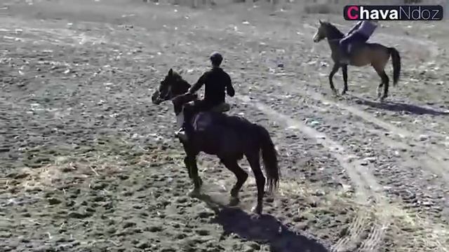Kamol Gashtak Ko'pkari Beshkapa смотреть онлайн