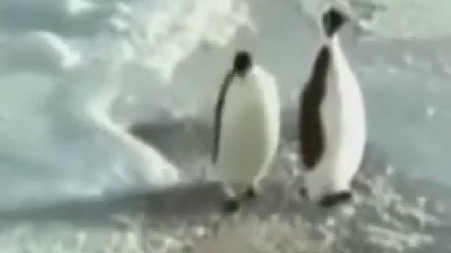 О боже какой мусчина прикол смотреть онлайн