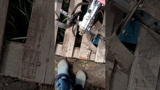 мотокультиватор кентавр МК10-3СФ смотреть онлайн