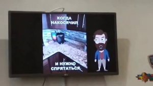 Приколы Хозяин и Мурзик