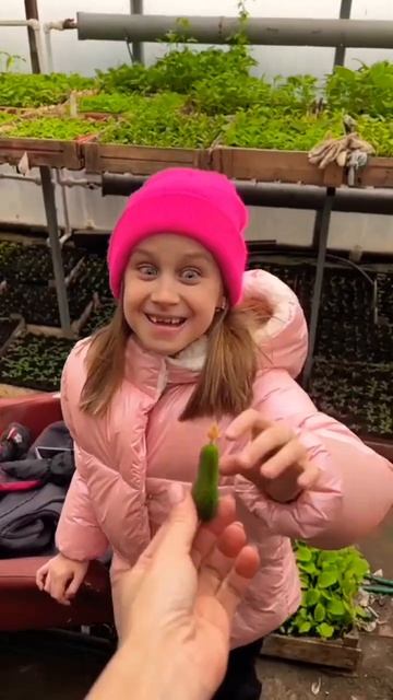 мой первый огуречик🌿😋🥒#рассада#огурцы#весна #дерев смотреть онлайн