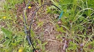 Капельный полив из колодца насосом «Малыш» или «Ручеёк»