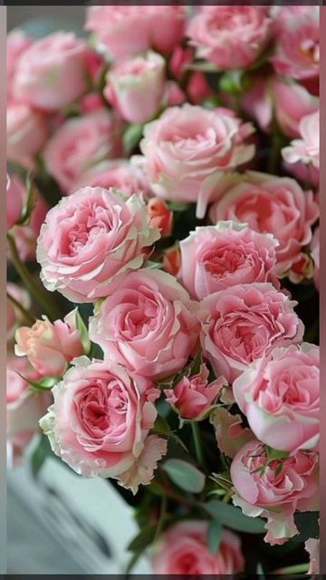 [Естетичние обои с цветами🌷🌹] #актив #арт #рек