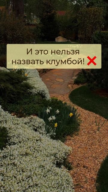🌸🌸🌸Это вам не клумба, это цветник. Подробно в описа? смотреть онлайн