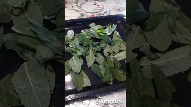 Заготовка мяты на зиму. смотреть онлайн